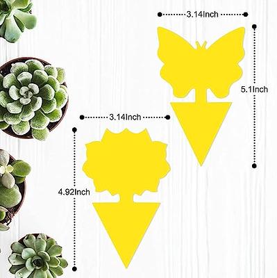 Indoor and Outdoor Fruit Fly Traps Yellow Sticky Plant Bug Fungus Fly Trap Outdoor, Hanging Traps (48-Pack)