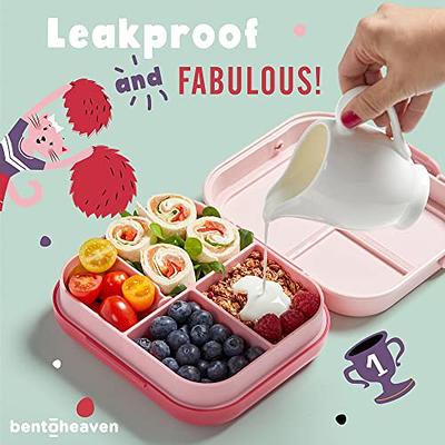 JXXM Bento Lunch Box for Kids With 8oz Soup Thermo,Leak-proof Lunch  Containers with 5 Compartment,Thermos Food Jar and Lunch Bag, Food  Containers for