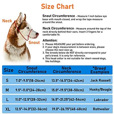 Head Collar for Dogs, No Pull Printed Mouth Harness, Gentle Head Halter for  Small Medium Large Dogs Stop Pulling on Leash, Easy Control on Walks (L,  Graffiti) - Yahoo Shopping