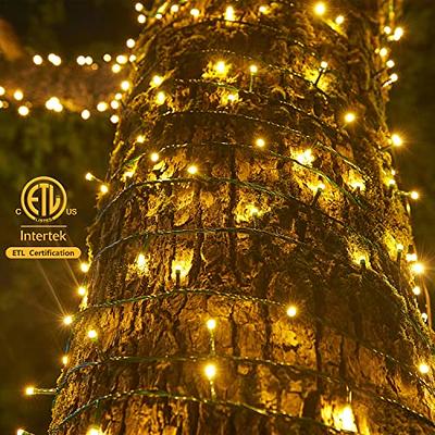 The Holiday Aisle® 100ft 8-Mode Waterproof LED Rope Light