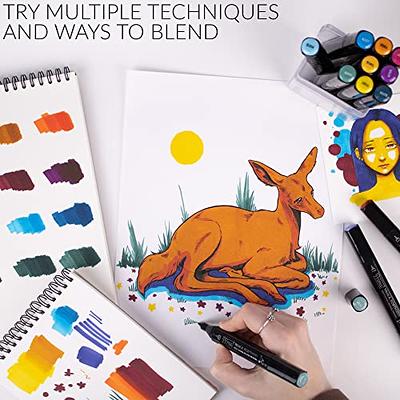  Professional Markers For Artists