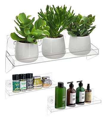 Urban Leaf - Suction Cup Shelf for Plants Window Bathroom or Kitchen | Live Plant Shelves for Indoor Garden | Window sill, Shower, Decorations or