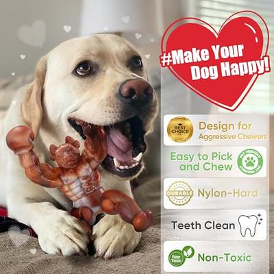 Zimtty Dog Toys, 3 Pack Indestructible Dog Chew Toys for Aggressive  Chewers, Durable Tough Nylon Real Bacon Flavor Teething Chew Toys for Large  Medium