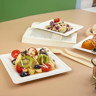 100% Compostable 6 inch Paper Plates, Heavy Duty Paper Plates