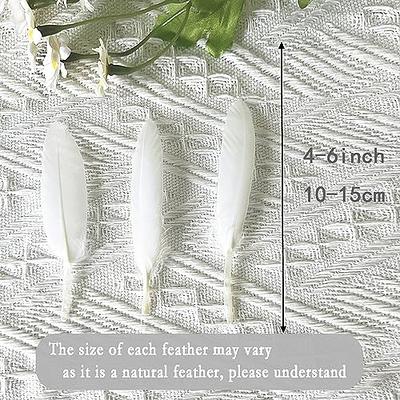 Topshopicks Pack of 24 Natural White Ostrich Feathers Bulk 10-12 Inches  with 10 Inch 24 Sticks and Tape for DIY Decorations Wedding Party  Centerpiece