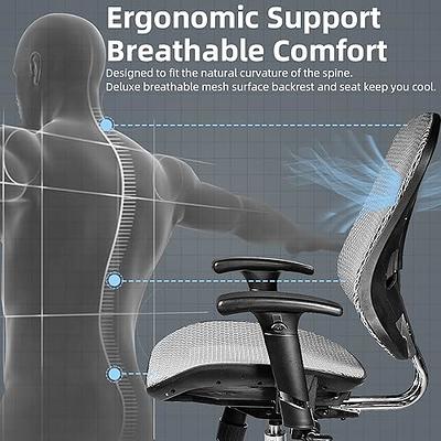 FLEXISPOT Ergonomic Office Chair High Back Mesh Swivel Computer Chair Home  Office Desk Chairs with Wheels Lumbar Support Deep Black