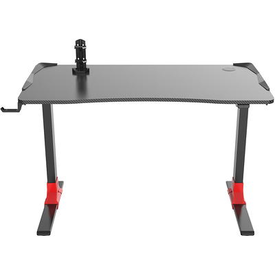 GTRACING Electric Adjustable Height Standing Gaming Desk with RGB Light and  Mouse Pad, Black 