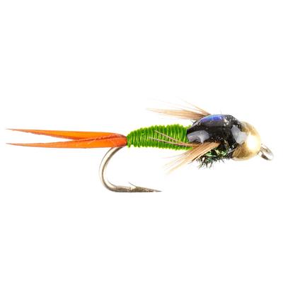 12 Mop Jig Nymph Fly Assortment, Tungsten Bead and Barbless Hook, Fly  Fishing for Trout