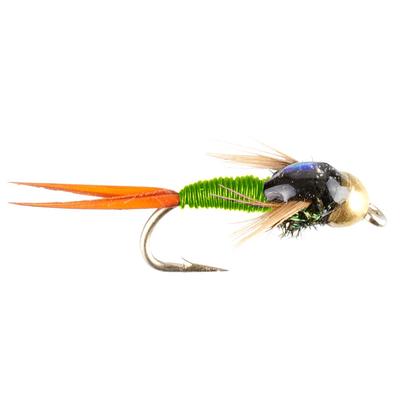 12 Mop Jig Nymph Fly Assortment  Tungsten Bead and Barbless Hook