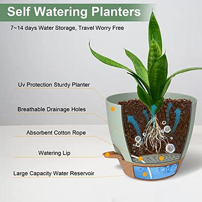 6 inch Plant Pots Set of 6, Plastic Planter with Drain Holes and Removable Base, Black Flower Pot with Watering Lip for Indoor Outdoor House Plants