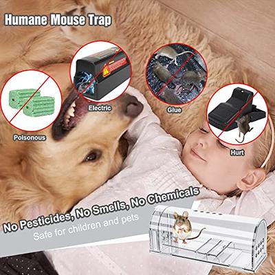  2 Pack Humane No Kill Mouse Traps Bucket, Enlarged No