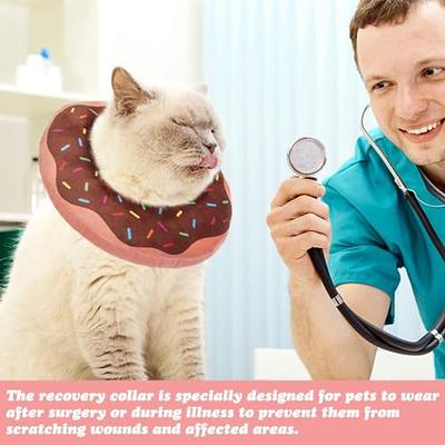 in Hand Adjustable Pet Recovery Collar Comfy Cat Cone Soft Edge