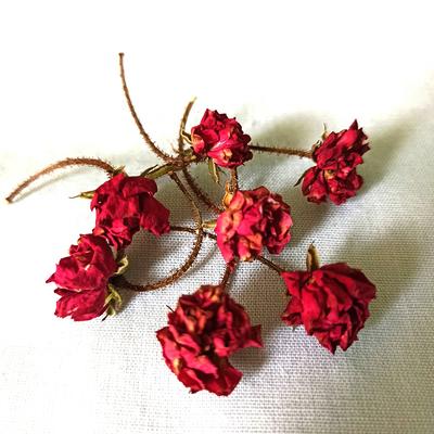 20 Dried Burgundy Roses.tiny Resin Flowers, Small Dried Flowers