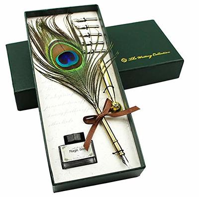 Feather Quill Pen and Ink Set - Calligraphy Pen Dip Set with Inkwell And  Stand - Quill Pen Set with 5 Stainless Steel Nibs for Writing Paper, Letter