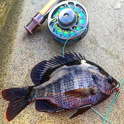 Piscifun Sword Fly Fishing Reel with CNC-machined Aluminum Alloy Body 5/6  Space Gray, Fly Fishing Line with Welded Loop WF5wt 100FT Sky Blue, and Fly  Fishing Backing Line 20LB 100yds Yellow 