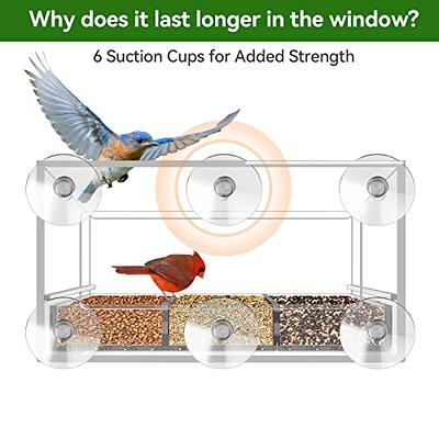 DY-SKTY Clear Window Bird Feeder with 6 Strong Suction Cups and Detachable  Seed Tray for