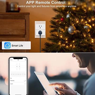 TREATLIFE Smart Dimmer Plug Outdoor Smart Plug Works with Alexa and Google  Home, Light Dimmer APP Remote Control, Max Power 400W, IP44 for Dimmable