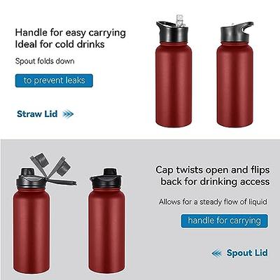 ENCOOL Insulated Stainless Steel Water Bottle with Straw and Spout