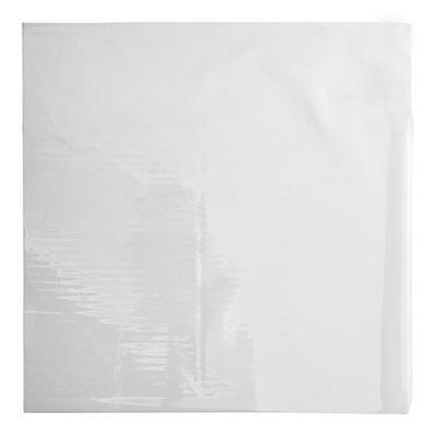 10 lb. White Paper Bag - 500/Bundle