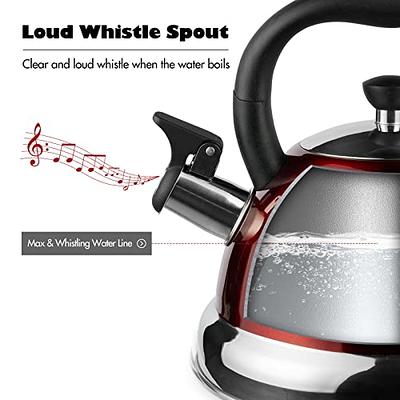 3L Whistling Kettle Stainless Steel Portable Camping Kettle Teapot