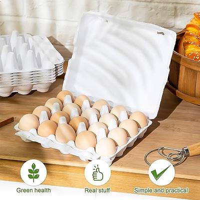 30 Count Deviled Egg Disposable Tray with lid