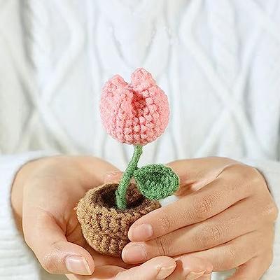 Flower Crochet Kit Tulip Flowerpot Step-by-step Video Tutorial DIY Home  Decoration Craft Gift Idea Pink 