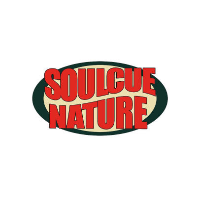 Soulcue