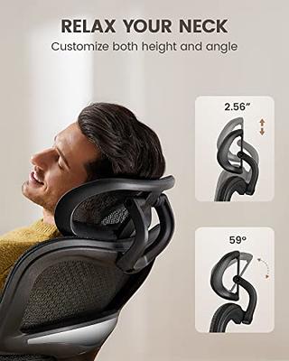 ErGear Office Chairs, Ergonomic Swivel Mesh Desk Chair with Adaptive Lumbar  Support, High Back Computer Chair with Adjustable backrest Height and