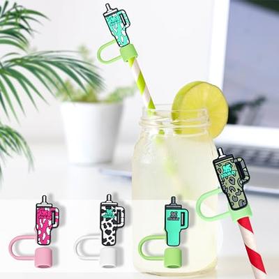 Anime Straw Covers Cap for Cup Straw Accessories, Cartoon Straw Protectors  Tips Cover for Reusable Drinking Straws (12)