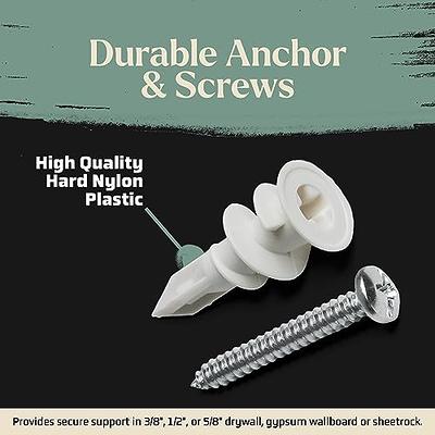 Self Drilling Dry Wall Zinc Anchors and Phillips Metal Screws Kit