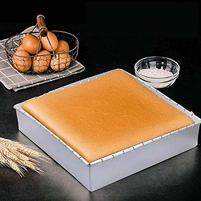 Rectangular Baking Tray Multipurpose Non-Stick DIY Biscuit Cake Pan  Practical Multipurpose Non-Stick DIY Biscuit Cake Pan Practical Kitchen  Baking