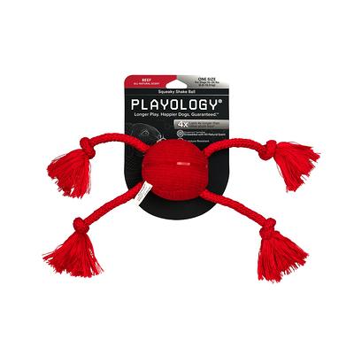 Squeaky Chew Ball Dog Toy - Chicken, Beef, Peanut Butter, and more Flavors  - Playology