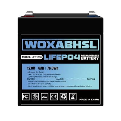 Feuruetc 6Ah 12V LiFePO4 Battery, 2000+ Cycles lifespan, Pack of 2,  Maintenance-Free Rechargeable Battery with Low self-Discharge and  Lightweight