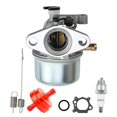 Harbot 498298 Carburetor for Briggs and Stratton 5 HP 692784