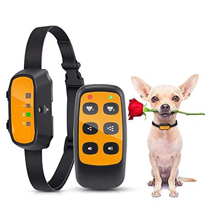  Citronella Bark Collar Waterproof IPX67, Spray Bark Collar  with 3 Adjustable Spray & Sensitivity Level, Rechargeable Citronella Dog  Collar, Humane Anti Barking Collar for Small Medium Large Dogs : Pet  Supplies