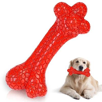 Fishing Lure Bone Dog Toy