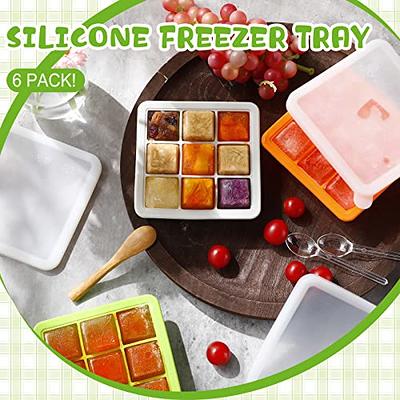 6 Pcs Silicone Baby Food Storage Containers Baby Food Freezer Tray with Lids  Silicone Baby Food