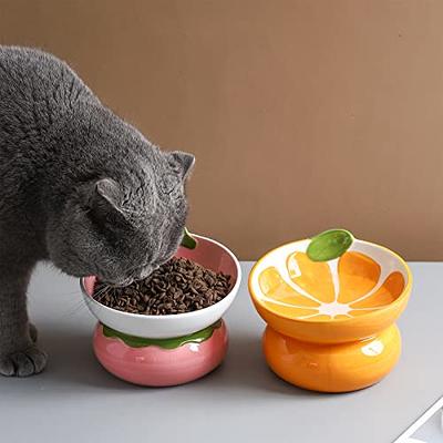 Cat Bowl,Raised Cat Food Bowls Anti Vomiting,Tilted Elevated Cat Bowl,Ceramic Pet Food Bowl for Flat-Faced Cats,Small Dogs,Protect Pets Spine,Dishwas