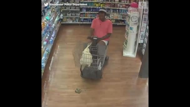 PHOTO: Police are asking for the public's help to locate a suspect in a motorized shopping cart who allegedly stole a Walmart shopper's wallet in Clearwater, Fla., on April 1, 2019. (Clearwater Police Department)
