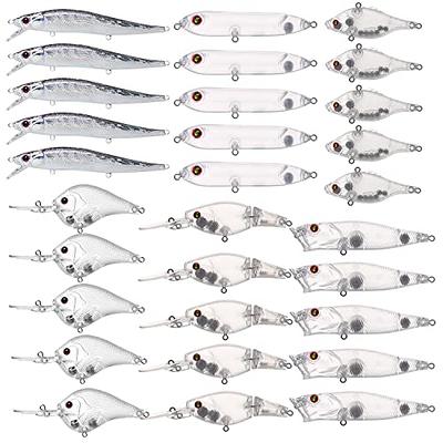 Delong Lures - Fishing Lures, 6 pre Rigged Weedless Worm Baits, Anise  Scented Animated Lures, weedless bass Fishing Lures for Freshwater &  Saltwater