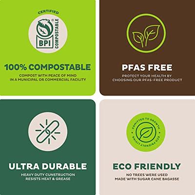 100% Compostable 9 Inch Paper Plates [125-Pack] Heavy-Duty