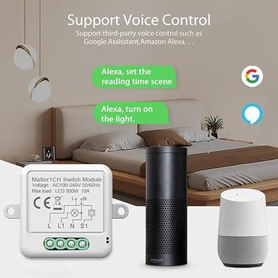 Mini Smart Plug - Wi-Fi Outlet Socket Compatible with Alexa, Echo and  Google Home for Christmas Lights, APP Remote Control, Schedule Timer  Function, 2.4G WiFi Only (1 Pack) - Yahoo Shopping