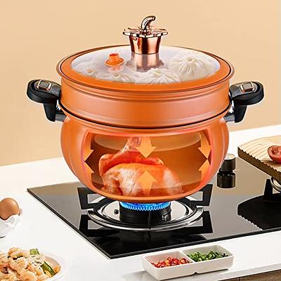 Induction Cooker with Cooking Pot