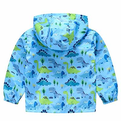 Boys and Girls Toddler Cute Dinosaur Painting Print Sweatshirt Hoodie, Pullover + Pants Set for Autumn and Winter,Temu