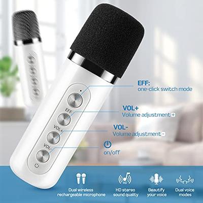 Family Karaoke Machine with Dual Microphone Wireless Karaoke