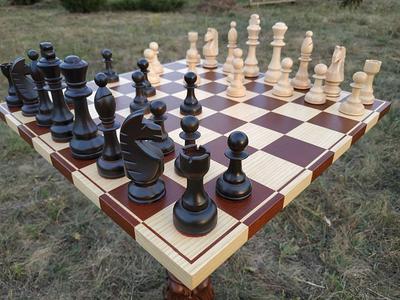 Custom Chess Set - Wooden Chess Board - Modern Resin Chess Pieces