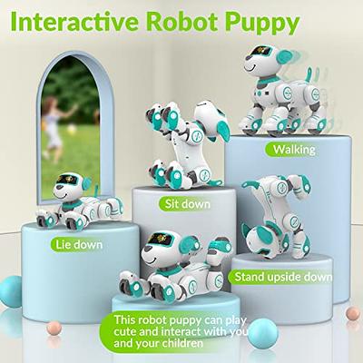 Remote Control Robot Dog Toy, Programmable Interactive & Smart Dancing Pink
