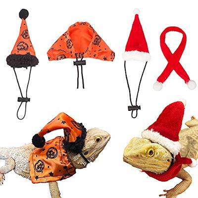 Bearded Dragon Lizard Halloween Hat Cloak Costume Set Clothes Outfit  accessory