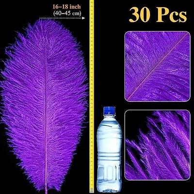 80 Pieces Ostrich Feathers Bulk Large Boho Feathers for Vase with