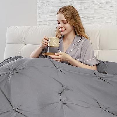 CozyLux King Size Comforter Set - 3 Pieces Grey Soft Luxury Cationic Dyeing  Bedding Comforter for All Season, Gray Breathable Lightweight Fluffy Bed